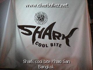 légende: Shark cool bite Khao San Bangkok
qualityCode=raw
sizeCode=half

Données de l'image originale:
Taille originale: 196227 bytes
Temps d'exposition: 1/50 s
Diaph: f/180/100
Heure de prise de vue: 2002:11:01 00:53:18
Flash: non
Focale: 129/10 mm
